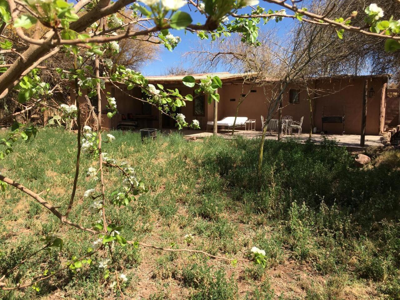 سان بيدرو دي أتاكاما Casa Luna المظهر الخارجي الصورة
