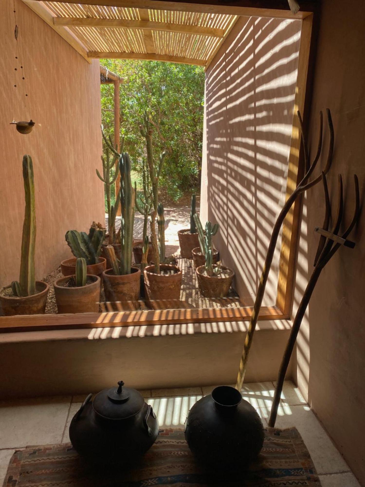 سان بيدرو دي أتاكاما Casa Luna المظهر الخارجي الصورة