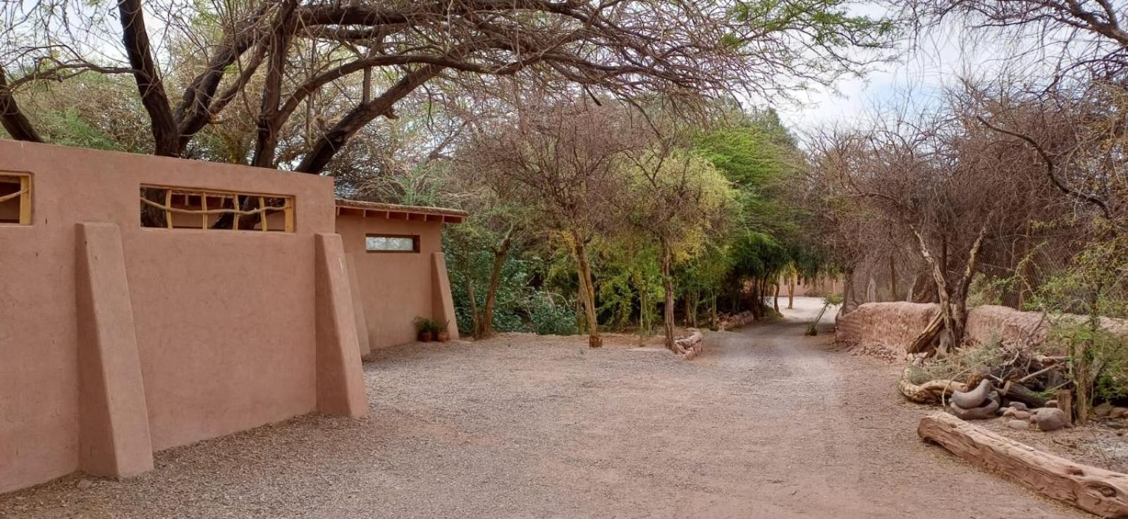سان بيدرو دي أتاكاما Casa Luna المظهر الخارجي الصورة