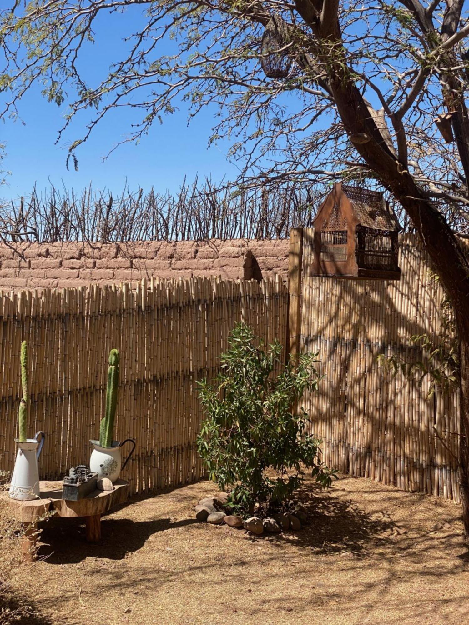 سان بيدرو دي أتاكاما Casa Luna المظهر الخارجي الصورة